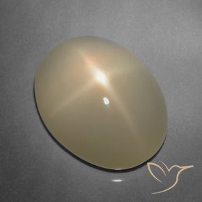 9.91캐럿 천연 페일 브라운 스타 문스톤, 타원형 컷, 투명한