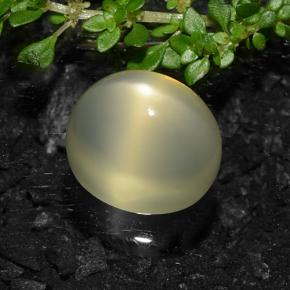 11.57캐럿 천연 연노랑 스타 문스톤, 타원형 컷, 투명한