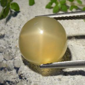 7.32캐럿 천연 미디엄 옐로우 스타 문스톤, 라운드 컷, 투명한