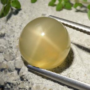 7.32캐럿 천연 미디엄 옐로우 스타 문스톤, 라운드 컷, 투명한