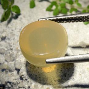 7.32캐럿 천연 미디엄 옐로우 스타 문스톤, 라운드 컷, 투명한