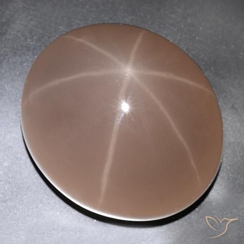 529.63ct 자연스러운 무당벌레 레드 스타 로즈 쿼츠, 타원형, 투명한
