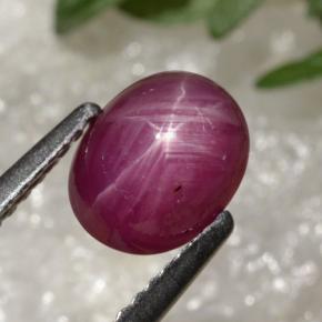 2.14캐럿 천연 보랏빛 레드 스타 루비, 타원형 컷, 7.6×6 mm, 투명한