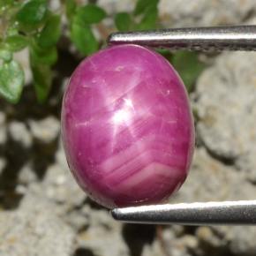 4.79캐럿 천연 보랏빛 레드 스타 루비, 타원형 컷, 10×7.7 mm, 불투명체