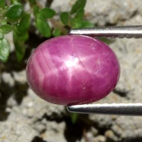 4.79캐럿 천연 보랏빛 레드 스타 루비, 타원형 컷, 10×7.7 mm, 불투명체
