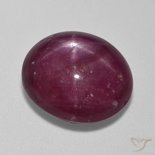 13.67ct 자연스러운 다크 레드 스타루비, 타원형, 불투명체