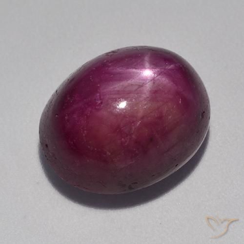12.53ct 자연스러운 미디엄 다크 퍼플 스타루비, 타원형, 불투명체