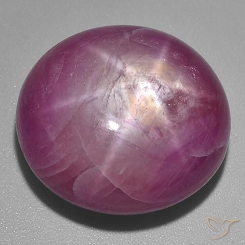 53.60ct 자연스러운 미디엄 다크 퍼플 스타루비, 타원형, 불투명체