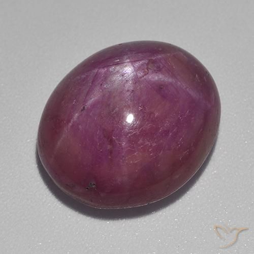 15.55ct 자연스러운 미디엄 다크 퍼플 스타루비, 타원형, 불투명체