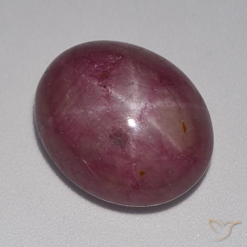 14.78ct 자연스러운 미디엄 다크 퍼플 스타루비, 타원형, 불투명체