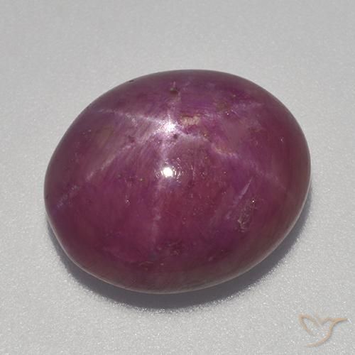 13.70ct 자연스러운 미디엄 다크 퍼플 스타루비, 타원형, 불투명체