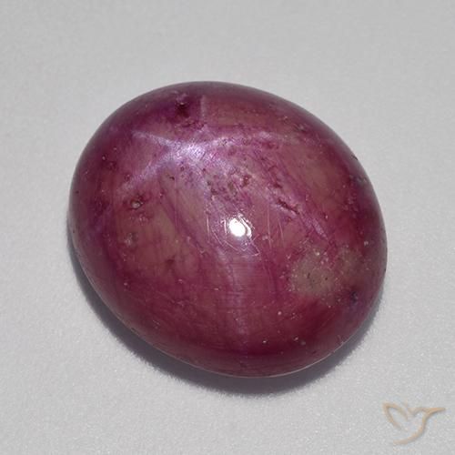 12.64ct 자연스러운 플럼 퍼플 스타루비, 타원형, 불투명체