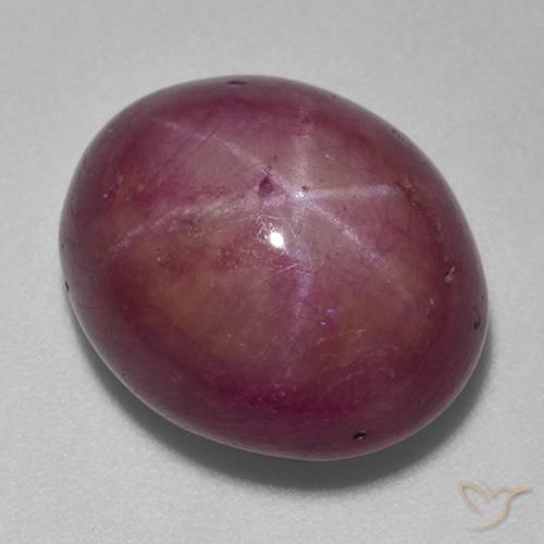 18.74ct 자연스러운 미디엄 다크 퍼플 스타루비, 타원형, 불투명체