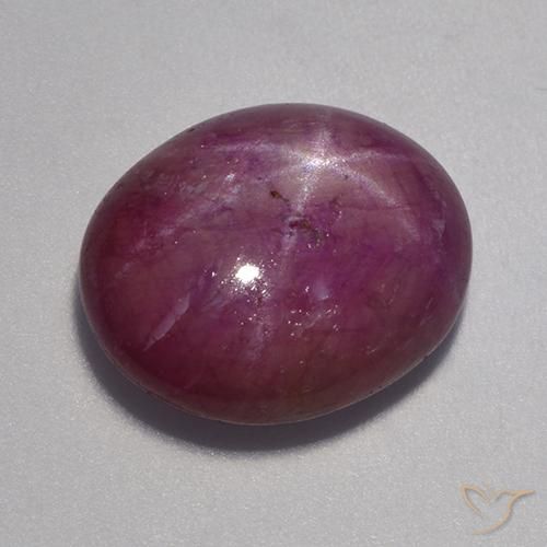 12.90ct 자연스러운 미디엄 다크 퍼플 스타루비, 타원형, 불투명체