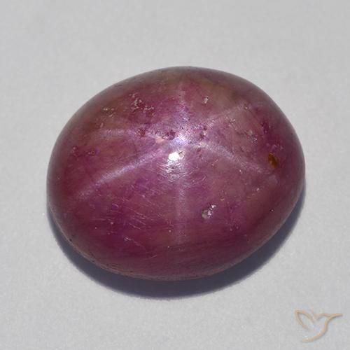 12.55ct 자연스러운 미디엄 퍼플 스타루비, 타원형, 불투명체
