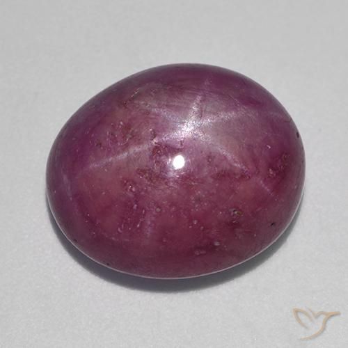 12.54ct 자연스러운 플럼 퍼플 스타루비, 타원형, 불투명체