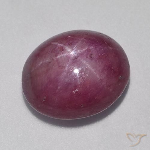 9.37ct 자연스러운 미디엄 다크 퍼플 스타루비, 타원형, 불투명체