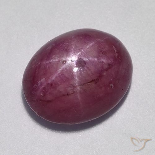10.57ct 자연스러운 미디엄 다크 퍼플 스타루비, 타원형, 불투명체