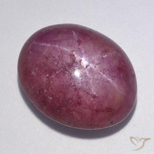 12.56ct 자연스러운 미디엄 다크 퍼플 스타루비, 타원형, 불투명체