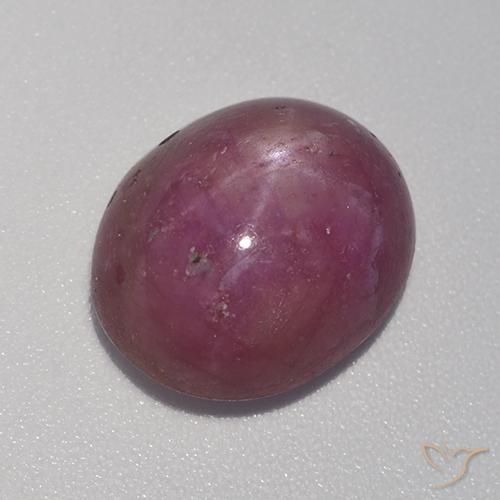 8.41ct 자연스러운 미디엄 다크 퍼플 스타루비, 타원형, 불투명체