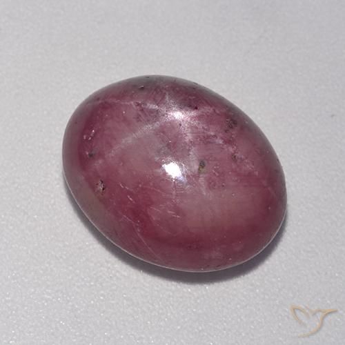 7.78ct 자연스러운 플럼 퍼플 스타루비, 타원형, 불투명체