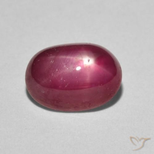 3.19ct 자연스러운 잼 레드 스타루비, 타원형, 불투명체