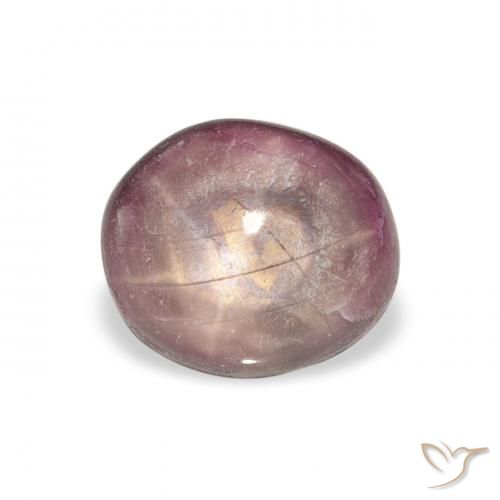 4.41ct 자연스러운 Medium Dark-Purple 스타루비, 타원형, 불투명체