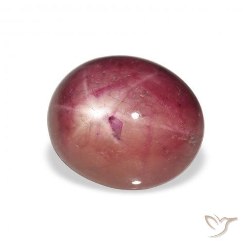 8.14캐럿 천연 Medium Light-Purple 스타루비, 타원형, 불투명체