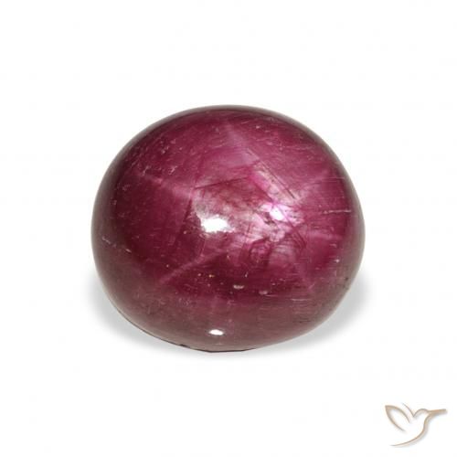 9.87ct 자연스러운 Medium Dark-Purple 스타루비, 타원형, 불투명체