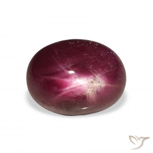 6.34ct 자연스러운 다크 레드 스타루비, 타원형, 불투명체