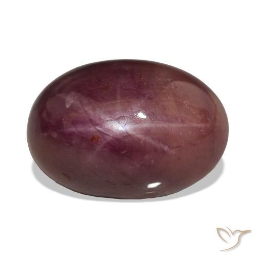 15.06ct 플럼 퍼플 스타루비, 타원형, 불투명체