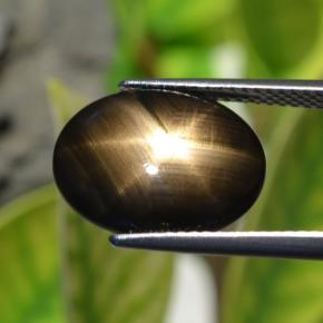 6.32캐럿 천연 검정색 스타 사파이어, 타원형 컷, 14.7×11.6 mm, 불투명체