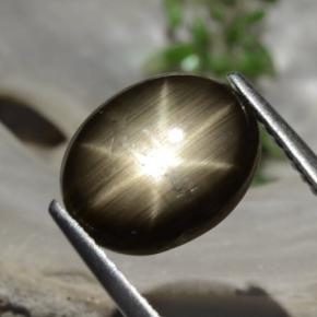 3.26캐럿 천연 검은색 스타 사파이어, 타원형 컷, 불투명체