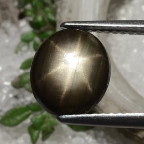 2.94캐럿 천연 검정색 스타 사파이어, 타원형 컷, 10×8.5 mm, 불투명체