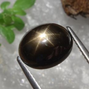 4.91캐럿 천연 검정색 스타 사파이어, 타원형 컷, 10×8.1 mm, 불투명체