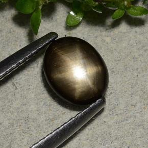 1.15캐럿 천연 검정색 스타 사파이어, 타원형 컷, 7.6×6.1 mm, 불투명체