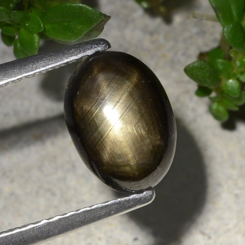 2.20캐럿 천연 검정색 스타 사파이어, 타원형 컷, 8.9×6.4 mm, 불투명체