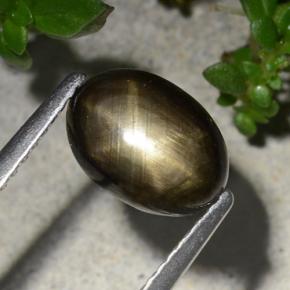 2.20캐럿 천연 검정색 스타 사파이어, 타원형 컷, 8.9×6.4 mm, 불투명체