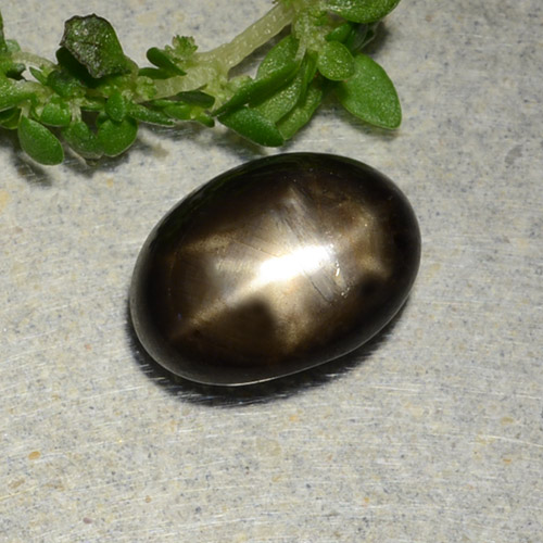2.31캐럿 천연 검정색 스타 사파이어, 타원형 컷, 8.9×6.6 mm, 불투명체