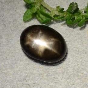 2.31캐럿 천연 검정색 스타 사파이어, 타원형 컷, 8.9×6.6 mm, 불투명체