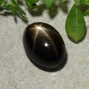 2.60캐럿 천연 검정색 스타 사파이어, 타원형 컷, 8.3×6 mm, 불투명체