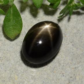 2.60캐럿 천연 검정색 스타 사파이어, 타원형 컷, 8.3×6 mm, 불투명체