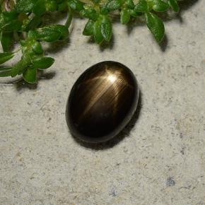 1.96캐럿 천연 검정색 스타 사파이어, 타원형 컷, 8×6.1 mm, 불투명체