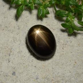 1.96캐럿 천연 검정색 스타 사파이어, 타원형 컷, 8×6.1 mm, 불투명체
