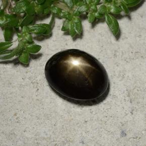 2.45캐럿 천연 검정색 스타 사파이어, 타원형 컷, 8.5×6.6 mm, 불투명체