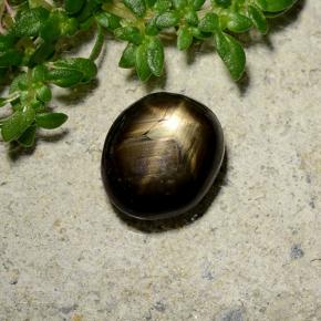 2.46캐럿 천연 검정색 스타 사파이어, 타원형 컷, 7.9×6.8 mm, 불투명체