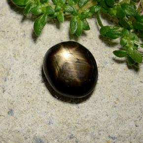 2.46캐럿 천연 검정색 스타 사파이어, 타원형 컷, 7.9×6.8 mm, 불투명체