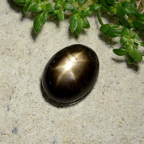 2.07캐럿 천연 검정색 스타 사파이어, 타원형 컷, 8.4×6.6 mm, 불투명체