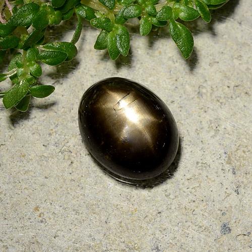 2.07캐럿 천연 검정색 스타 사파이어, 타원형 컷, 8.4×6.6 mm, 불투명체