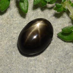 2.91캐럿 천연 검정색 스타 사파이어, 타원형 컷, 9.1×6.7 mm, 불투명체